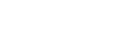 Fenix Logo