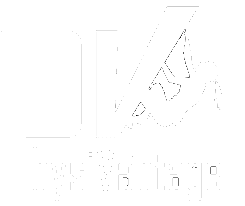 Physivantage Logo